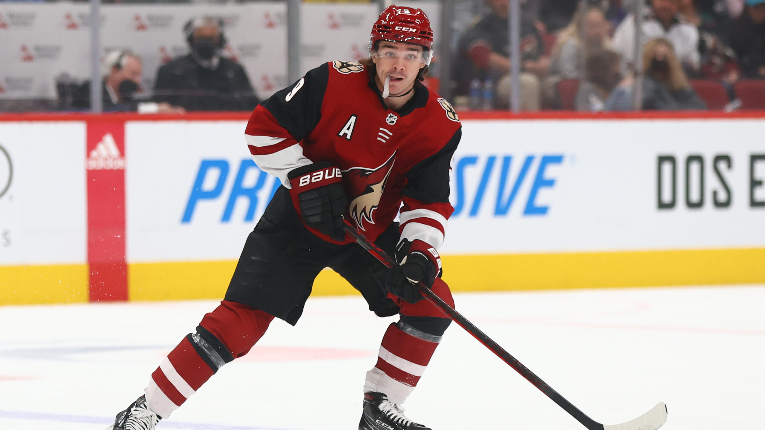 NHL: San Jose Sharks at Arizona Coyotes