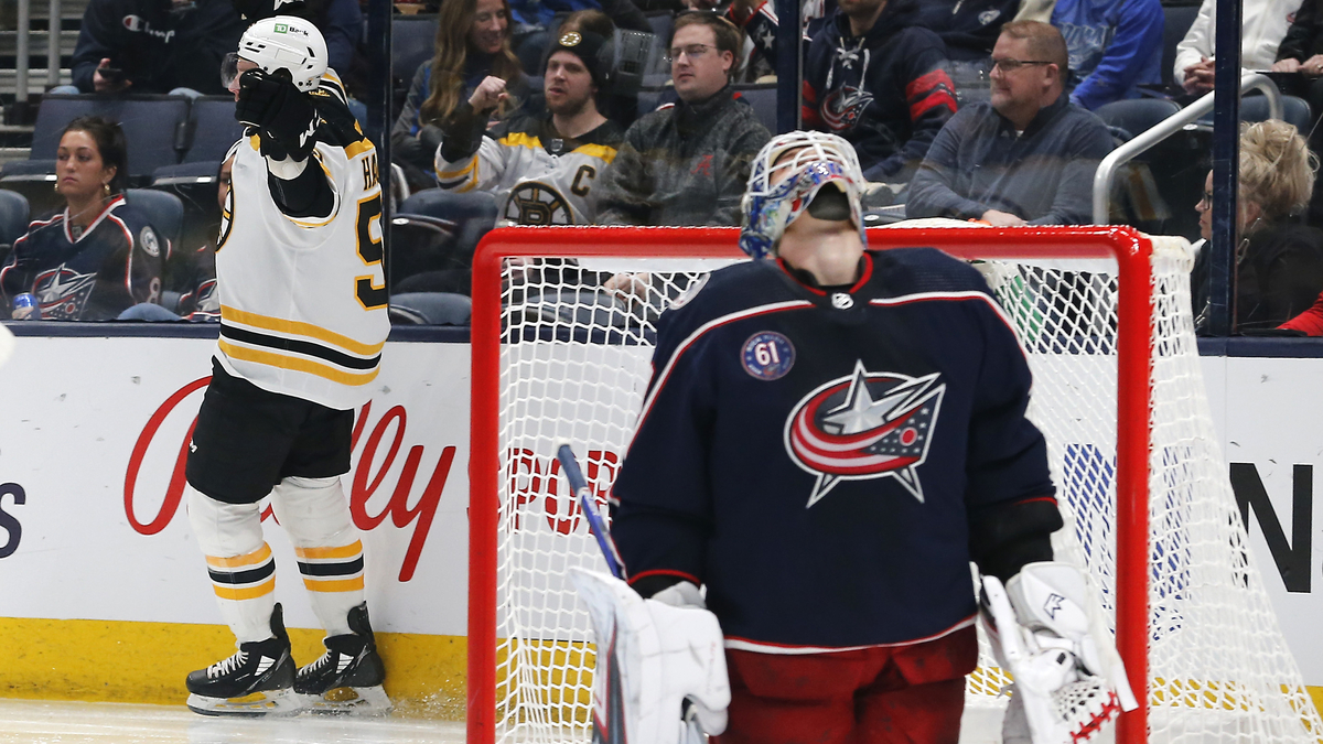 Boston Bruins forward Erik Haula