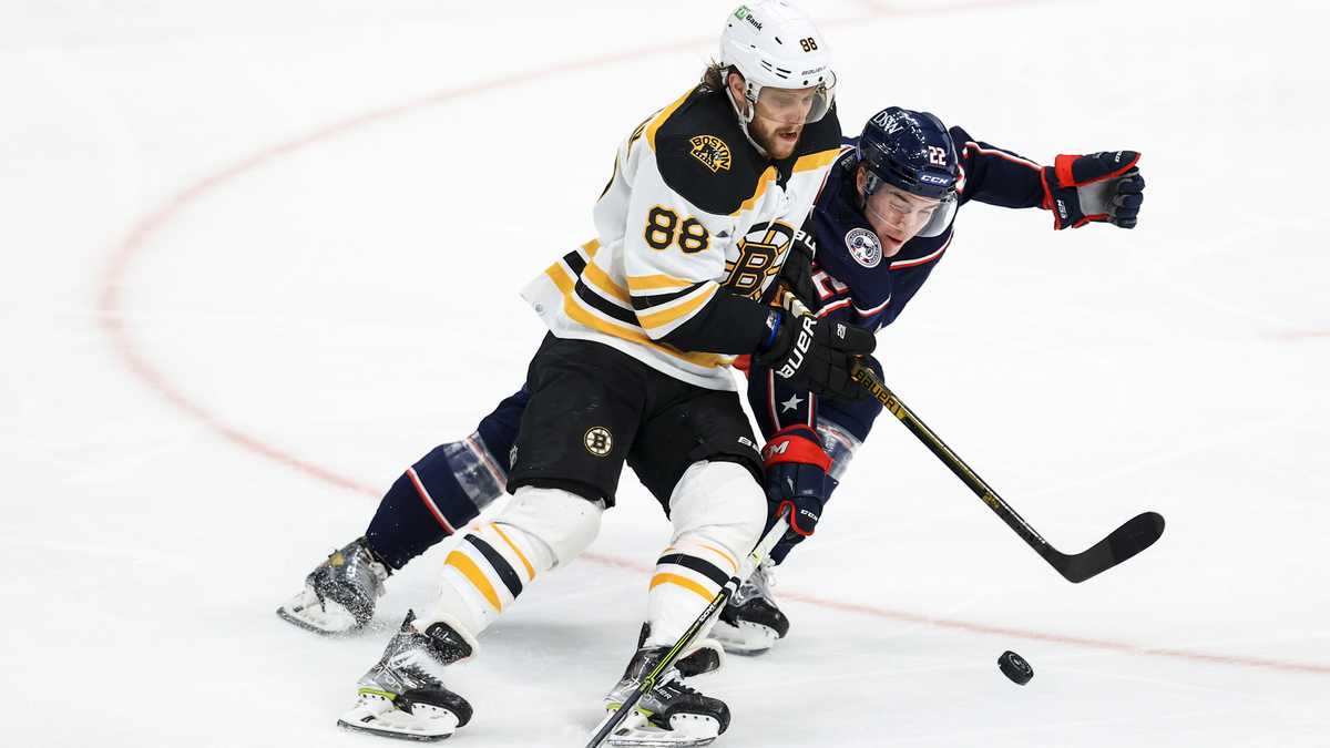 Boston Bruins forward David Pastrnak