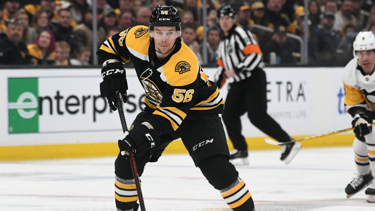 Boston Bruins forward Erik Haula