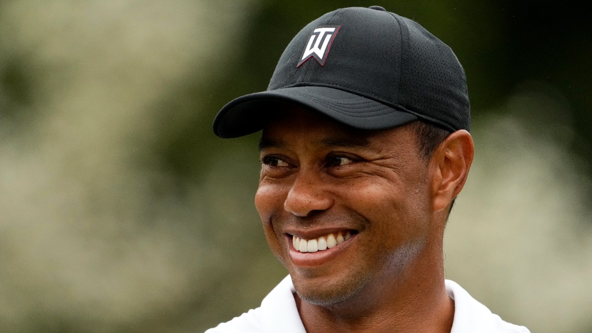 Professional golfer Tiger Woods