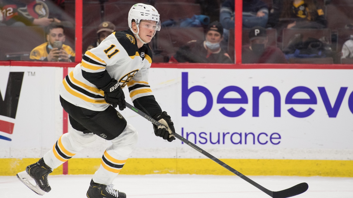Boston Bruins left wing Trent Frederic