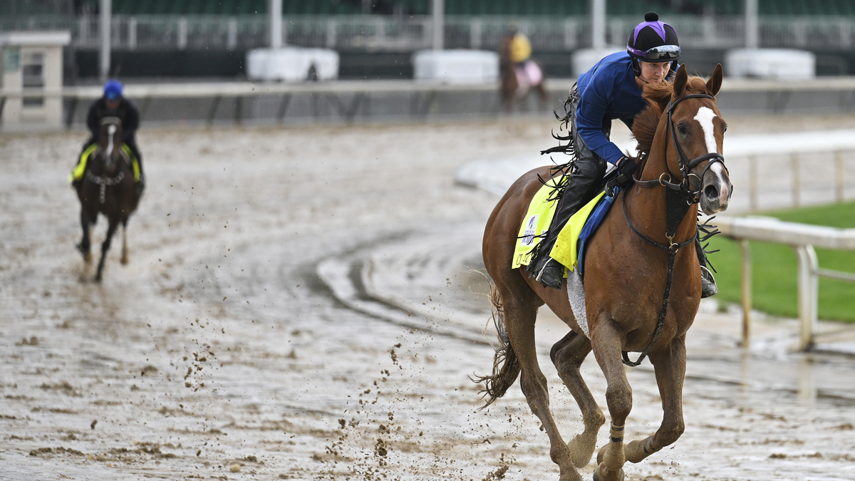 Kentucky Derby race horse Classic Causeway