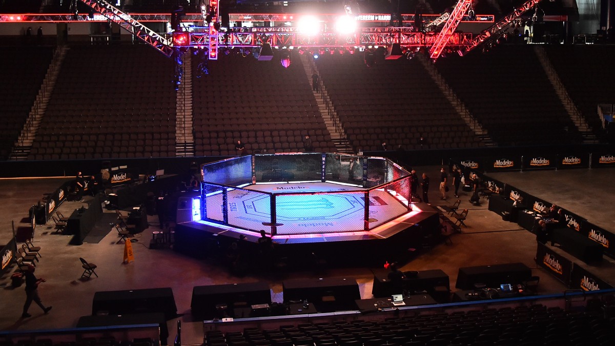 UFC octagon