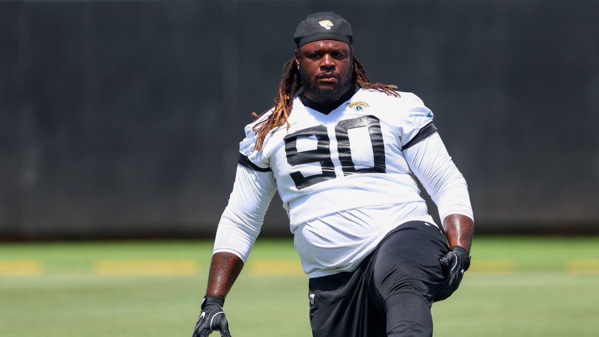 Free agent defensive lineman Malcom Brown