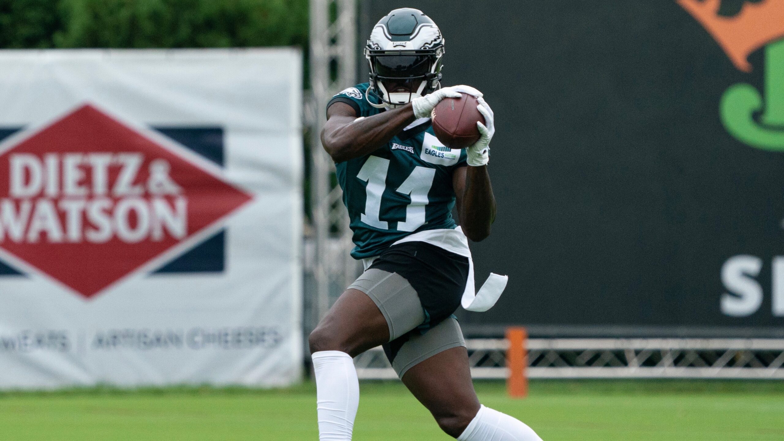 NFL: Philadelphia Eagles Training Camp
