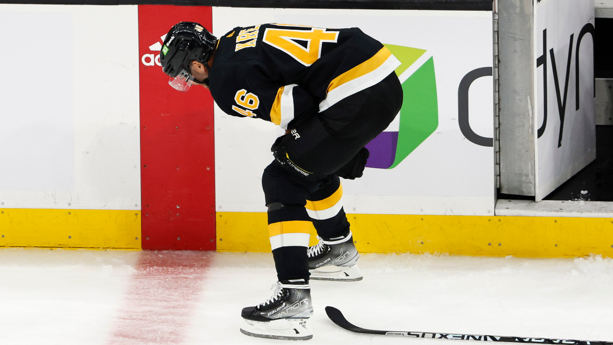 Boston Bruins center David Krejci