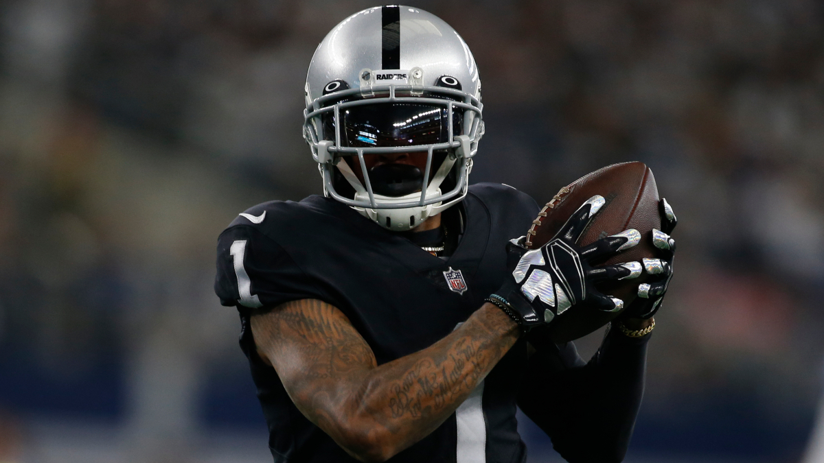 Baltimore Ravens wide receiver DeSean Jackson