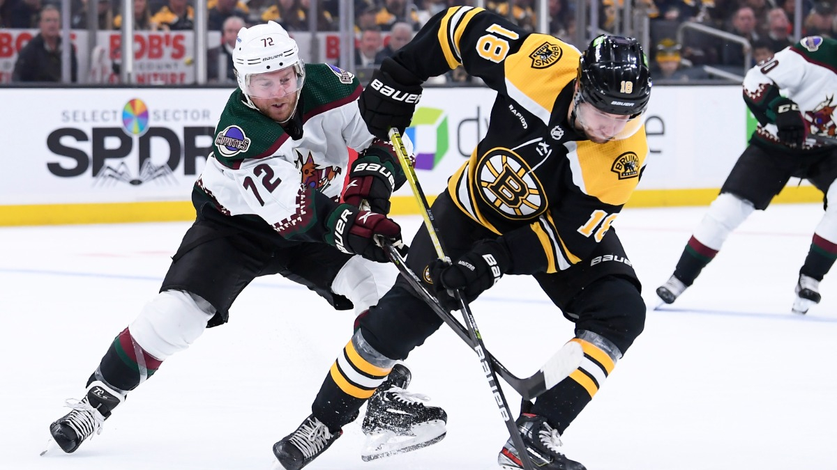 Boston Bruins center Pavel Zacha