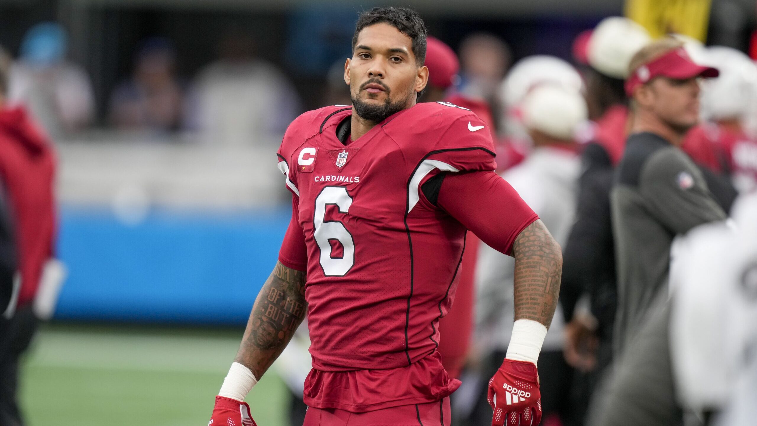 NFL: Arizona Cardinals at Carolina Panthers