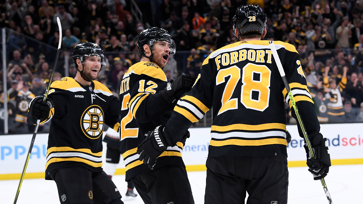 Boston Bruins defenseman Derek Forbort