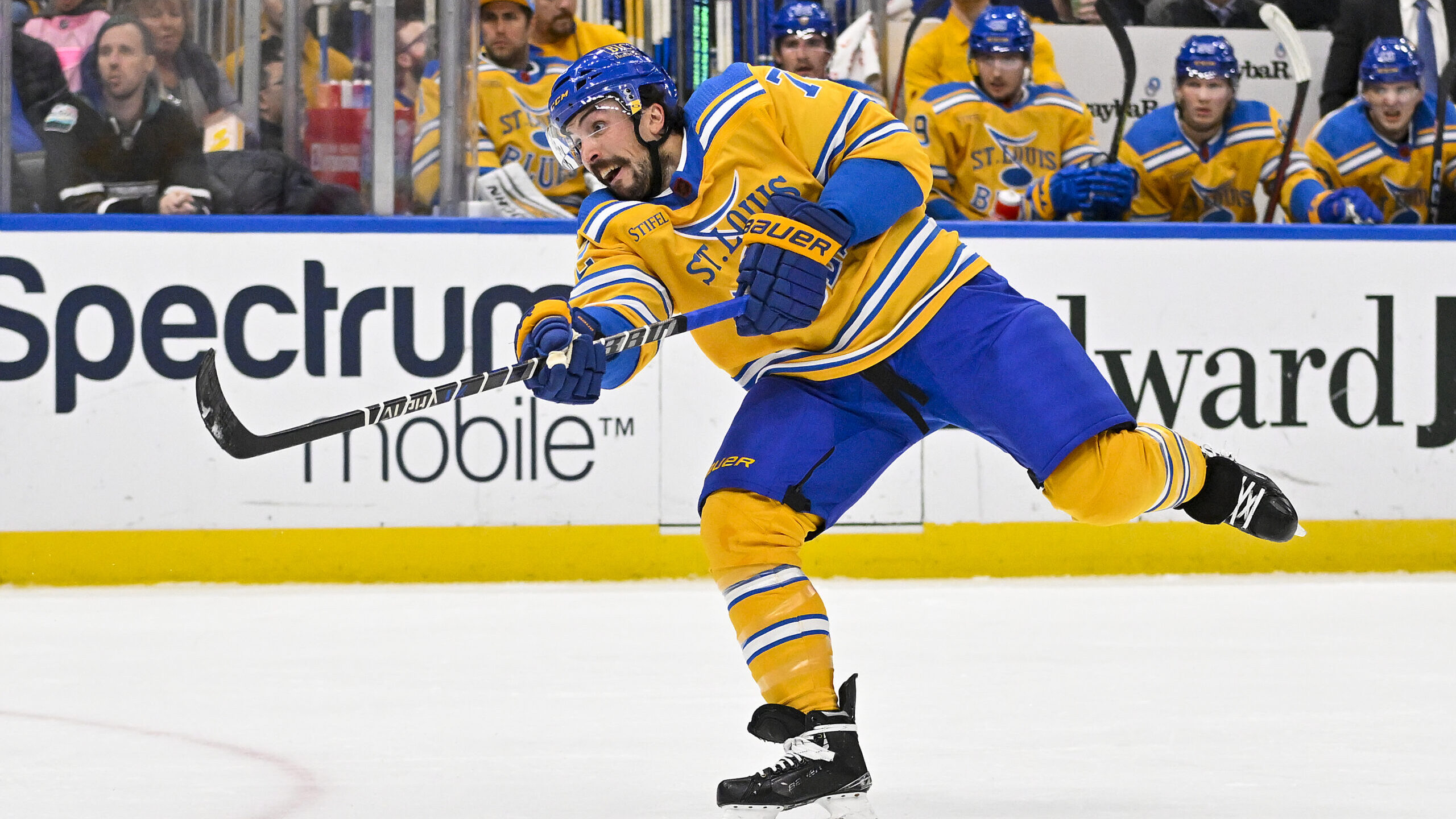 NHL: Anaheim Ducks at St. Louis Blues