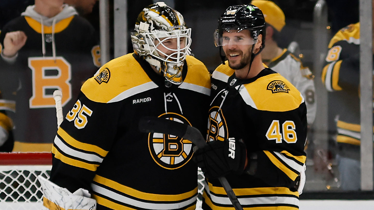 Boston Bruins center David Krejci, goaltender Linus Ullmark