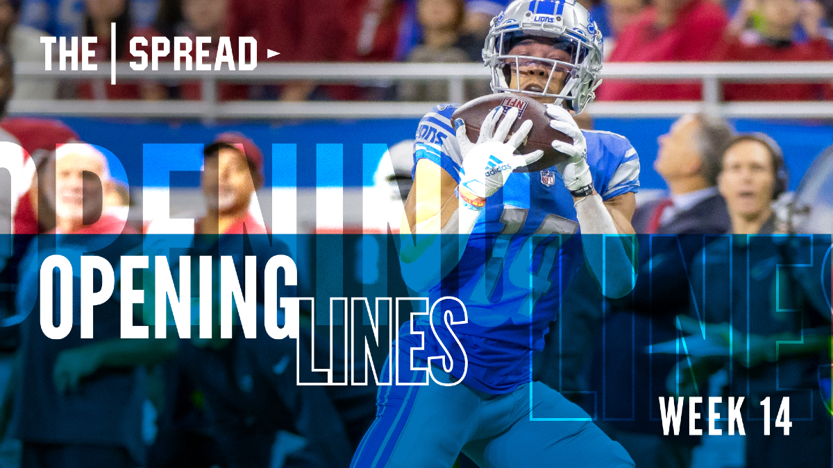 Detroit Lions receiver Amon-Ra St. Brown