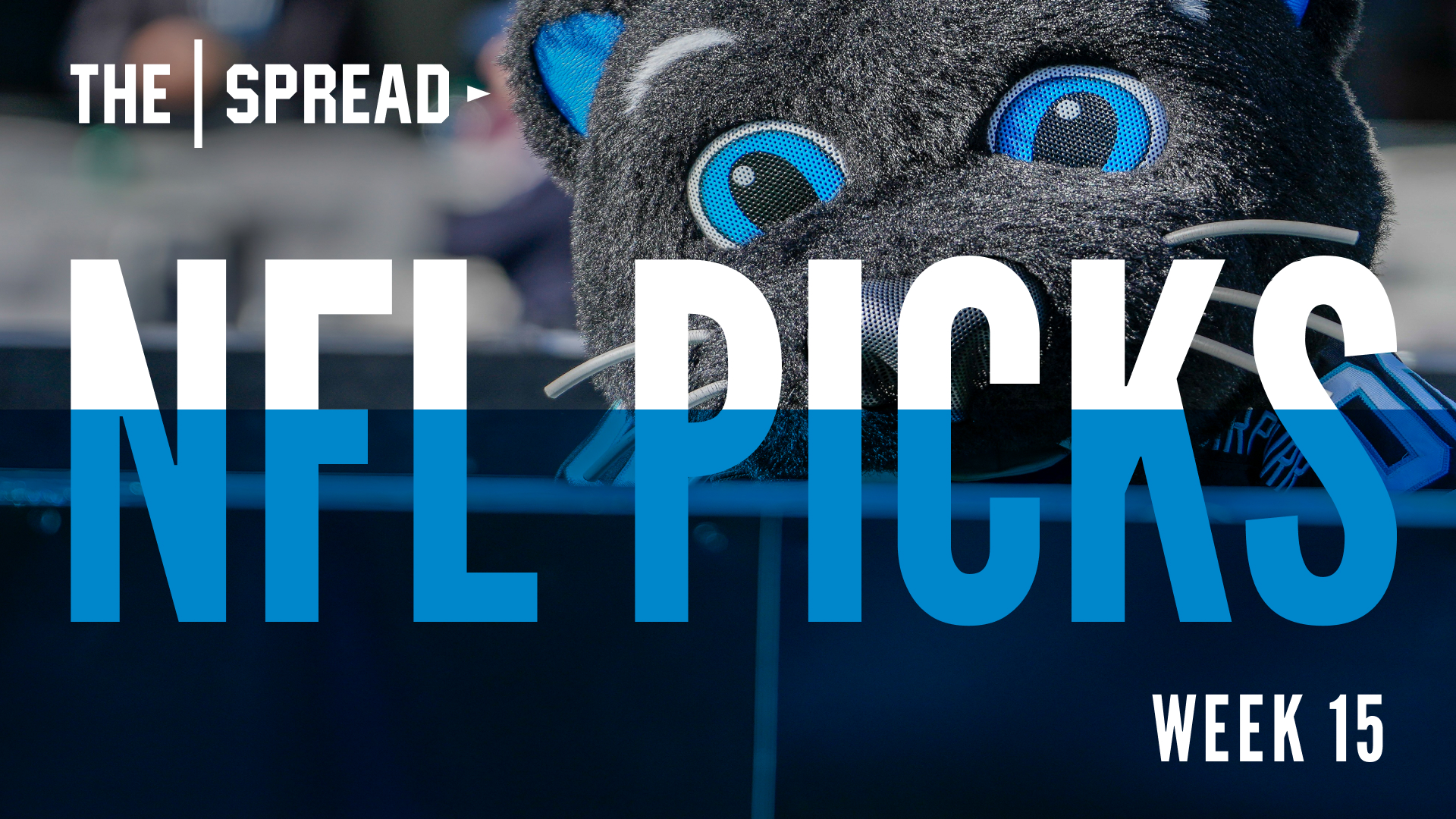 NFL Week 15 picks