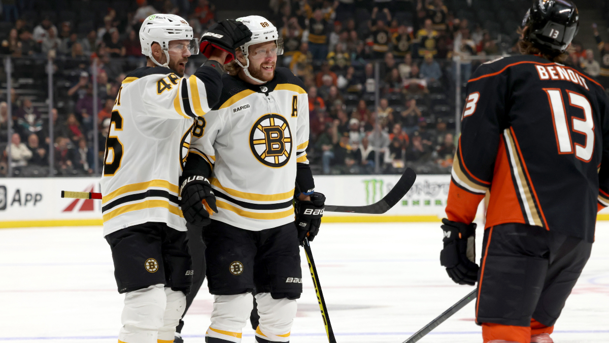 Boston Bruins forwards David Pastrnak and David Krejci