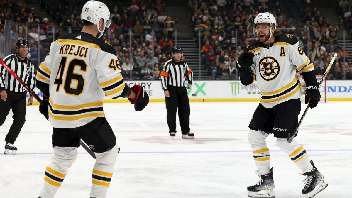 Boston Bruins center David Krejci, forward David Pastrnak