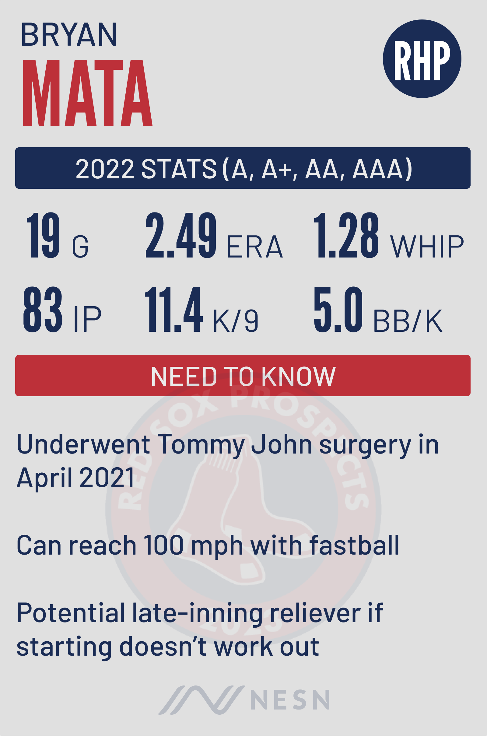Boston Red Sox prospect Bryan Mata