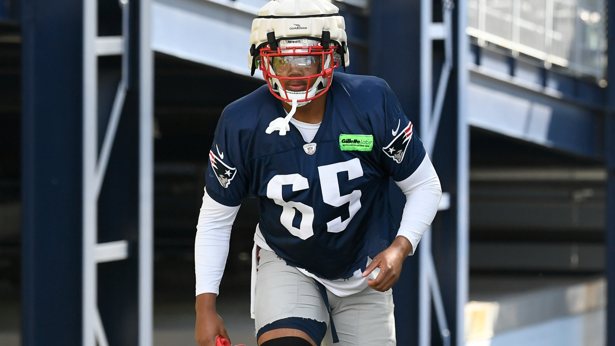 New England Patriots defensive lineman LaBryan Ray
