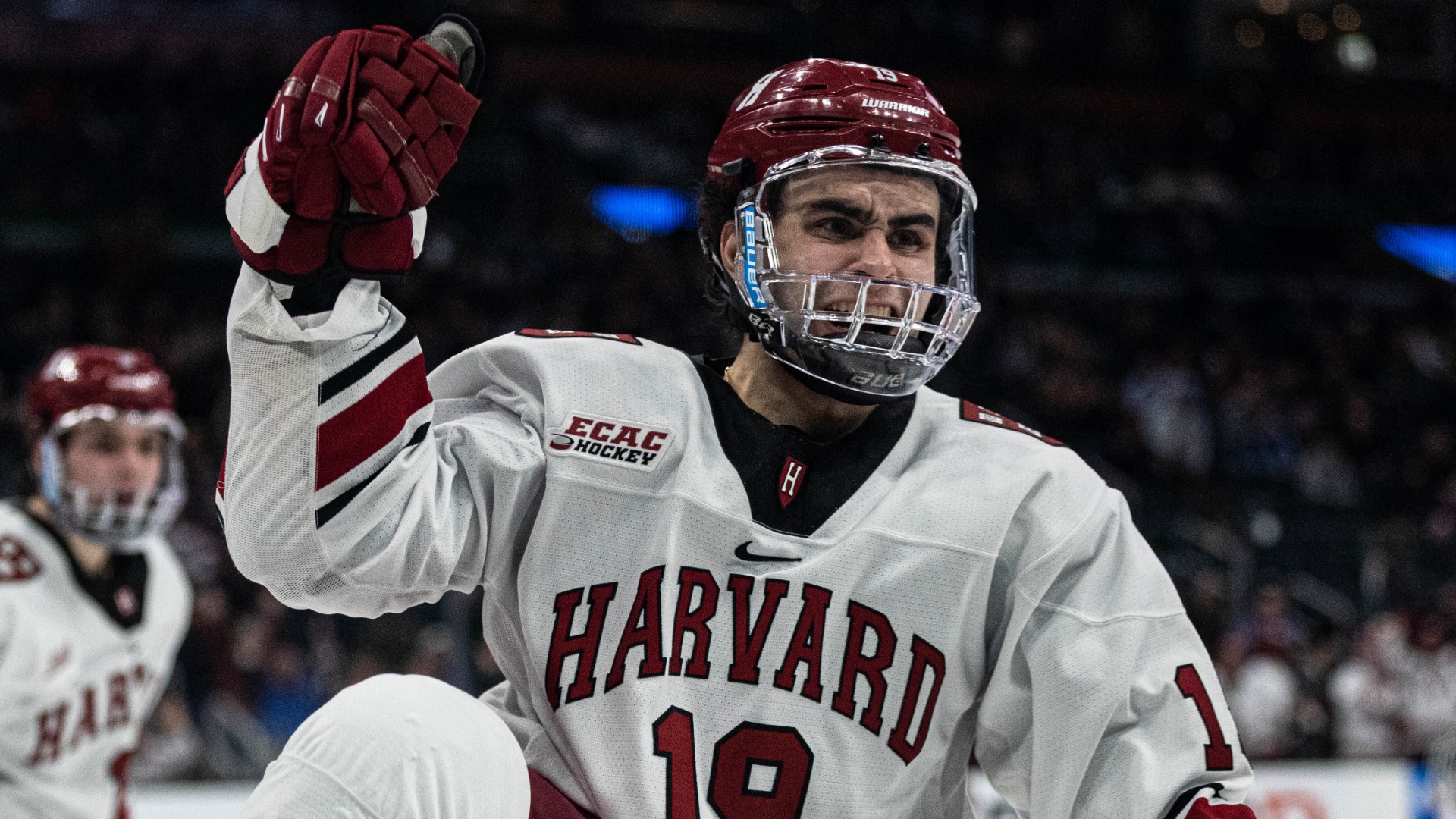 Harvard forward Matthew Coronato