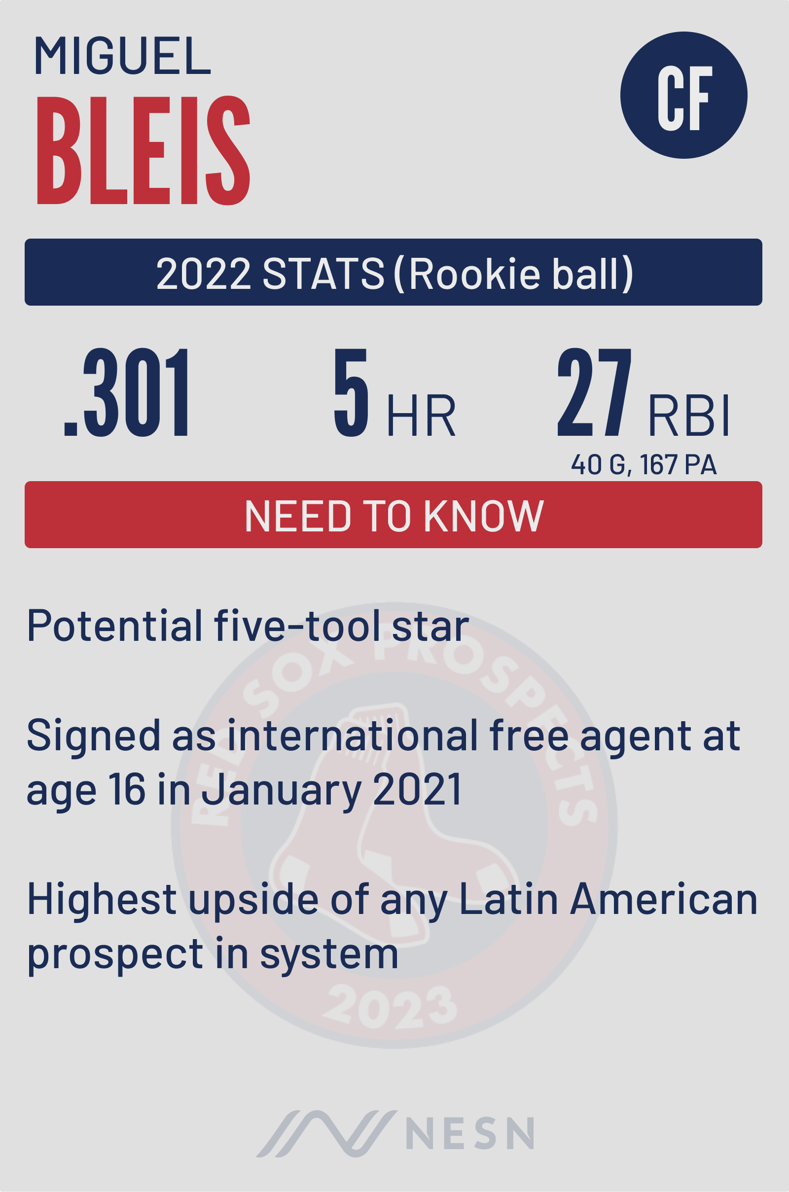 Boston Red Sox prospect Miguel Bleis