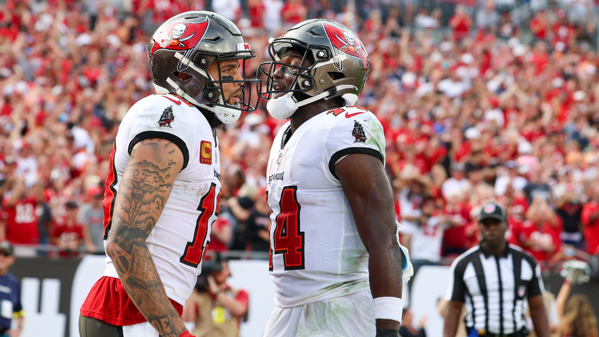 Tampa Bay Buccaneers wide receivers Mike Evans, Chris Godwin
