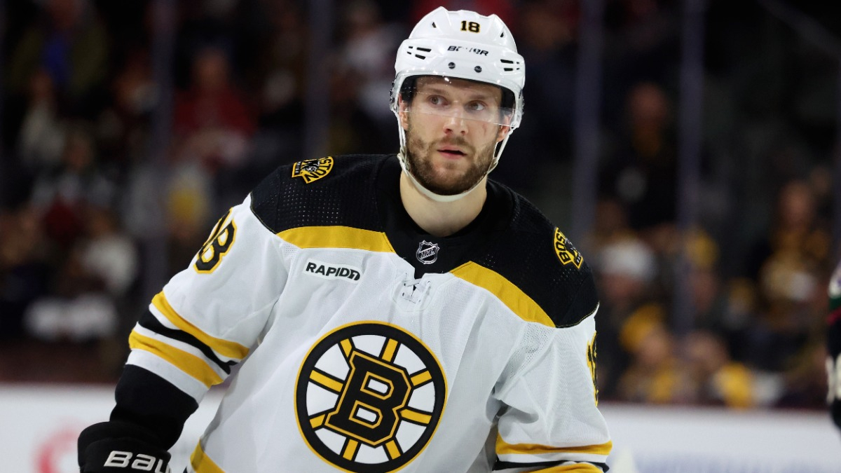 Boston Bruins forward Pavel Zacha