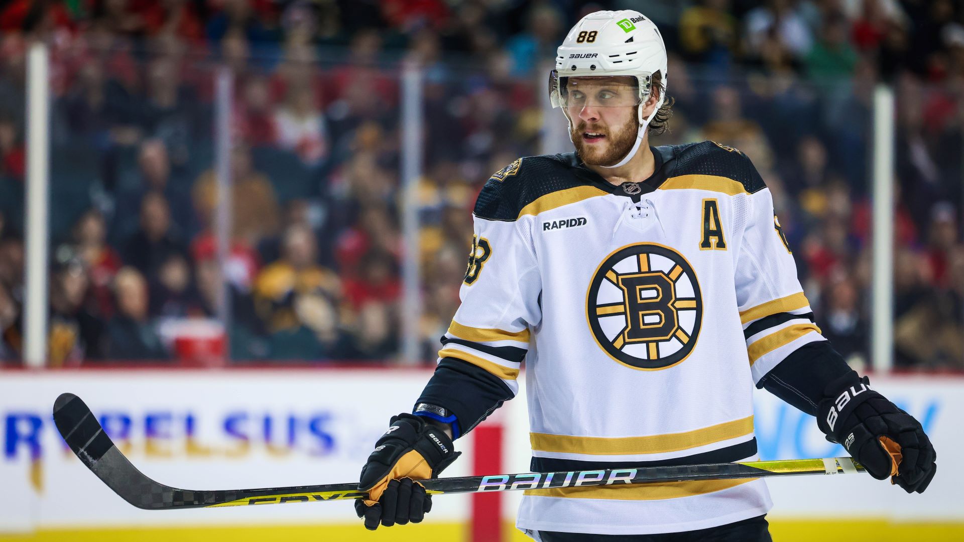 Boston Bruins winger David Pastrnak