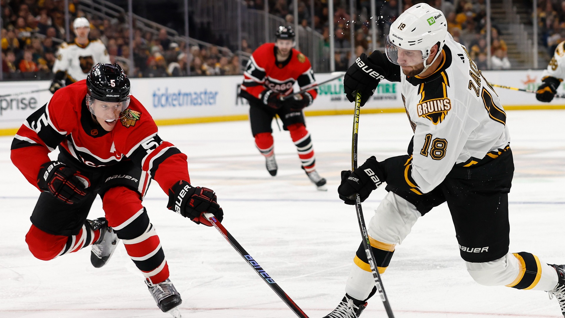 Boston Bruins center Pavel Zacha