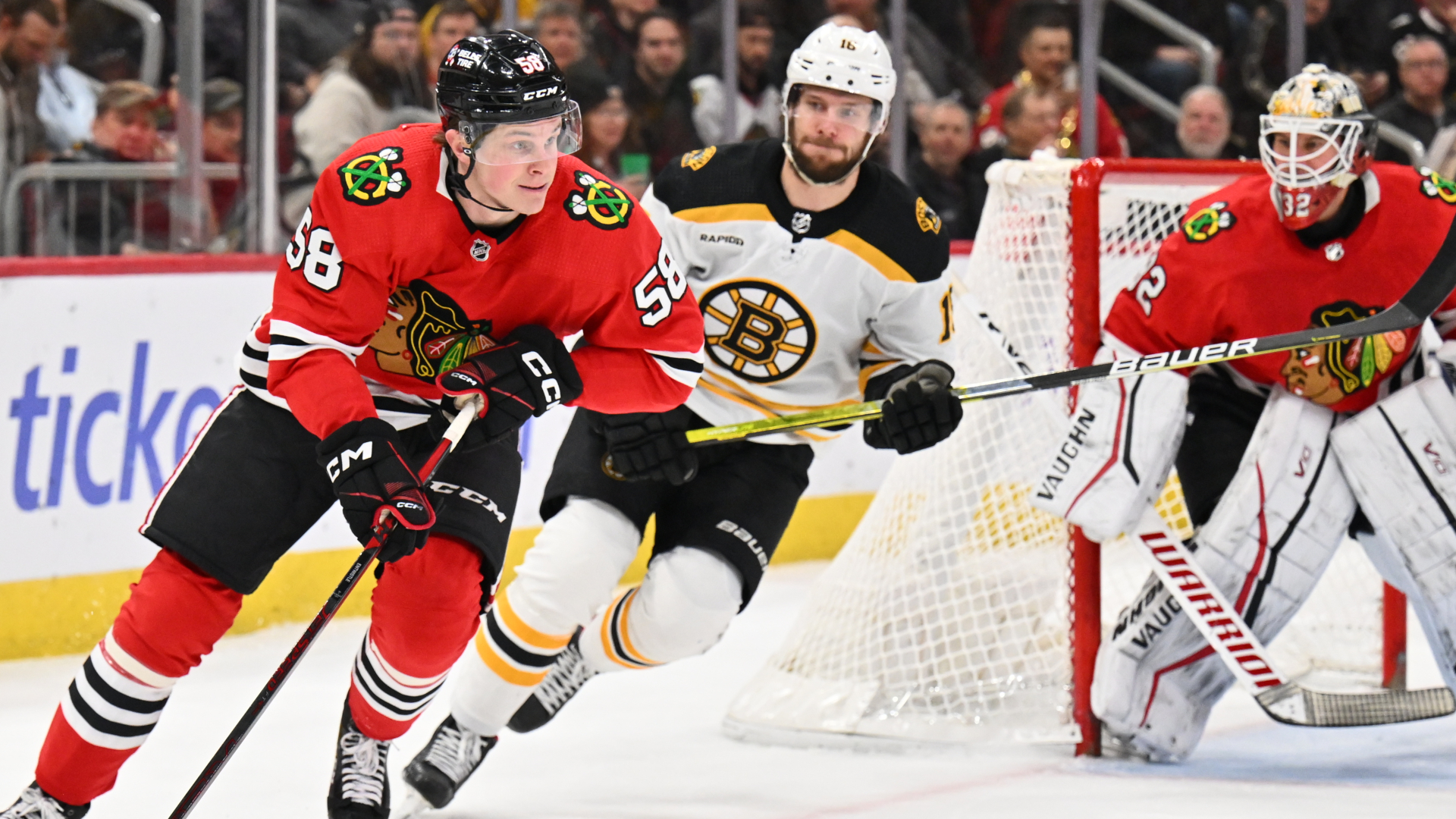 Boston Bruins forward Pavel Zacha