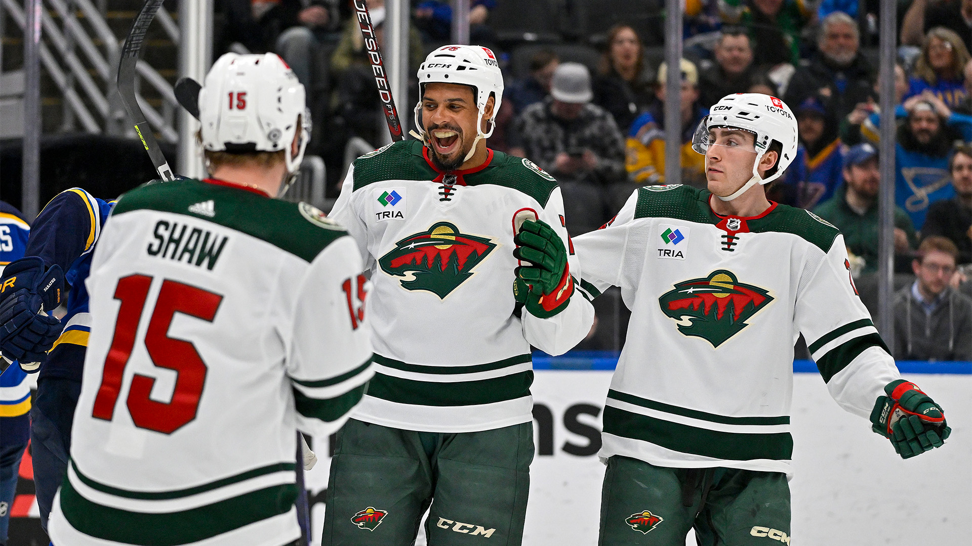 Minnesota Wild right wing Ryan Reaves