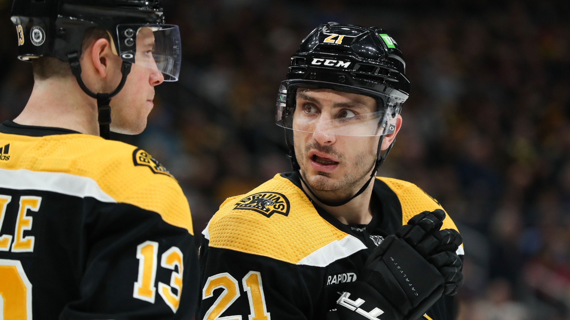 Boston Bruins forward Garnet Hathaway