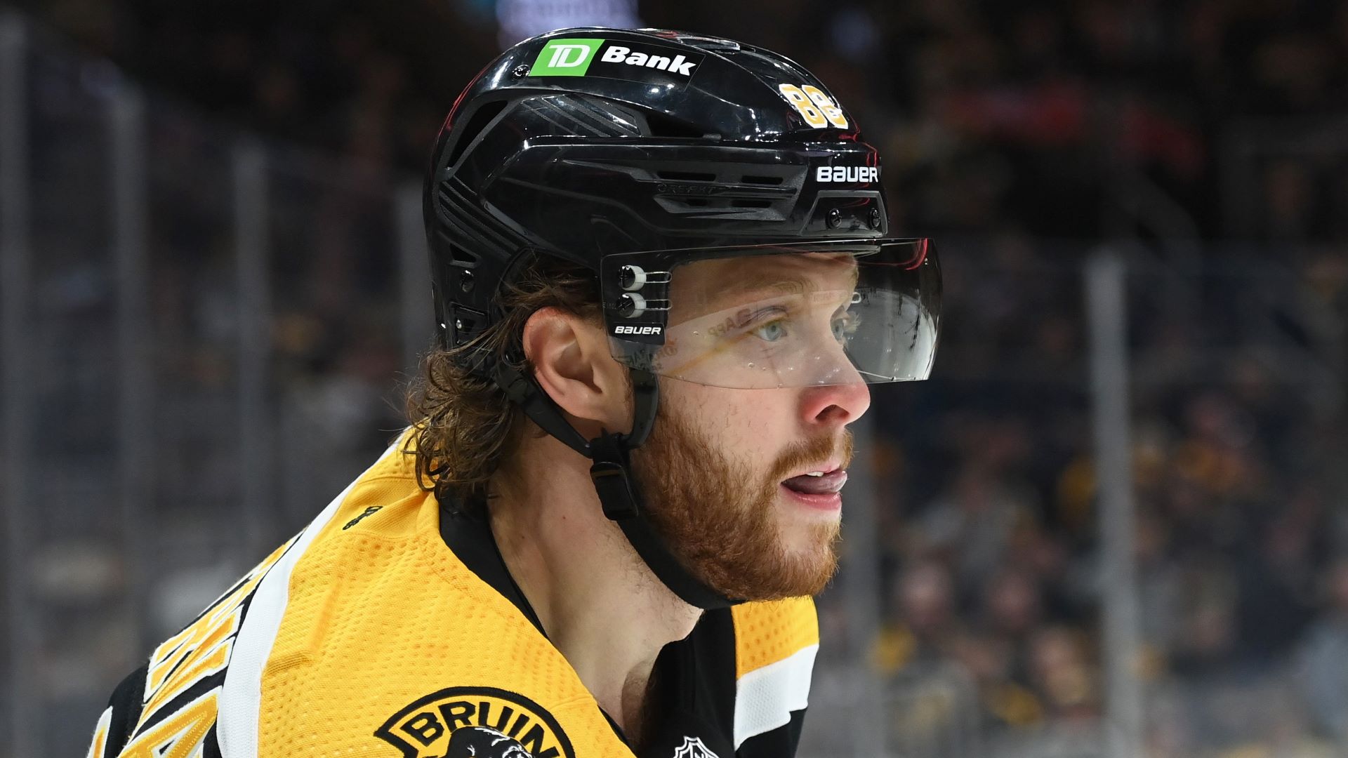 Boston Bruins winger David Pastrnak