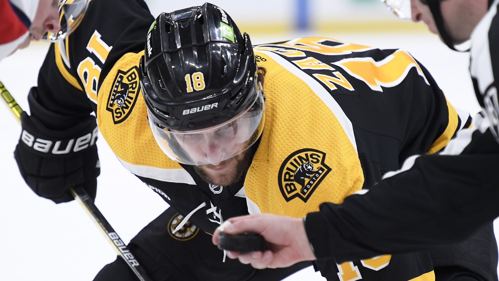 Boston Bruins forward Pavel Zacha