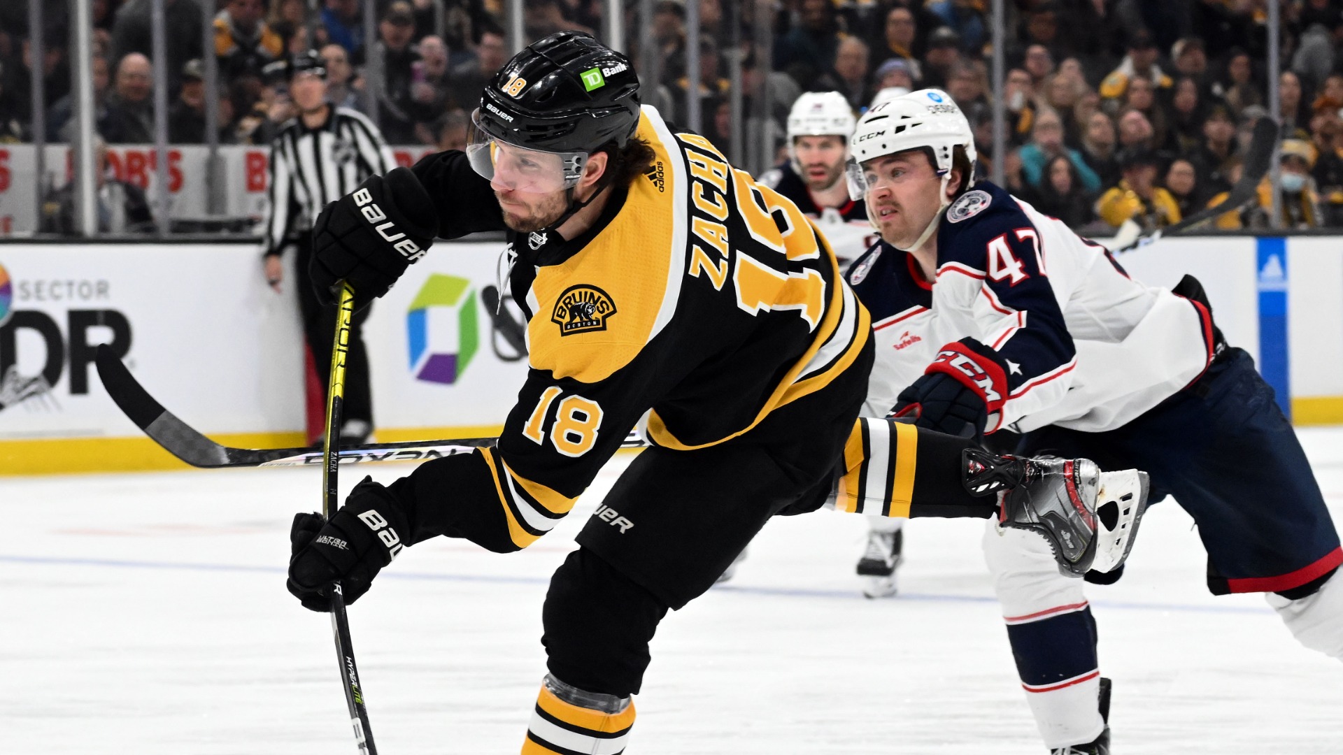 Boston Bruins forward Pavel Zacha