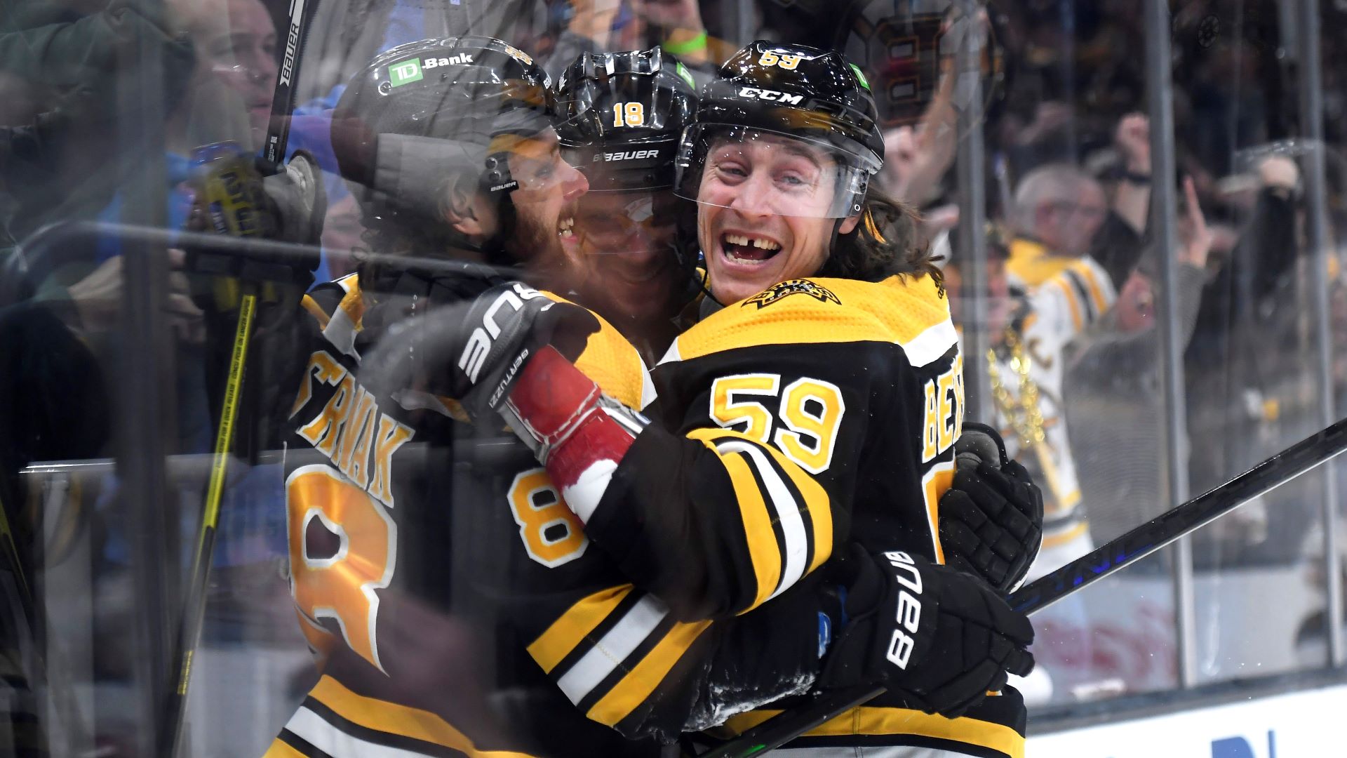 Boston Bruins left wing Tyler Bertuzzi