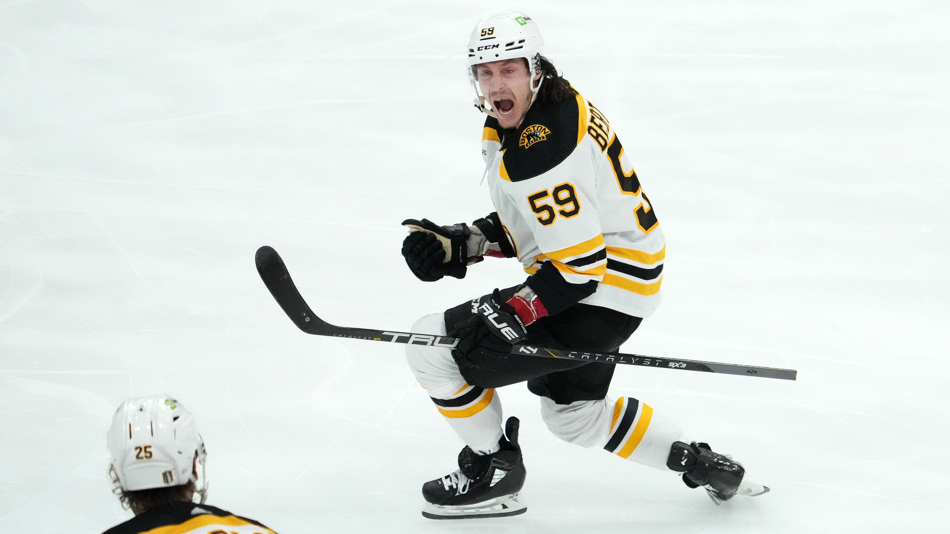 Boston Bruins left wing Tyler Bertuzzi