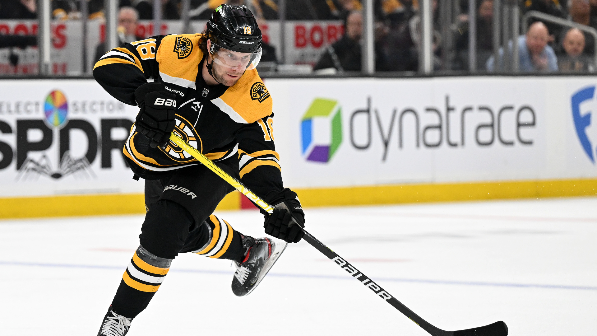 Boston Bruins forward Pavel Zacha