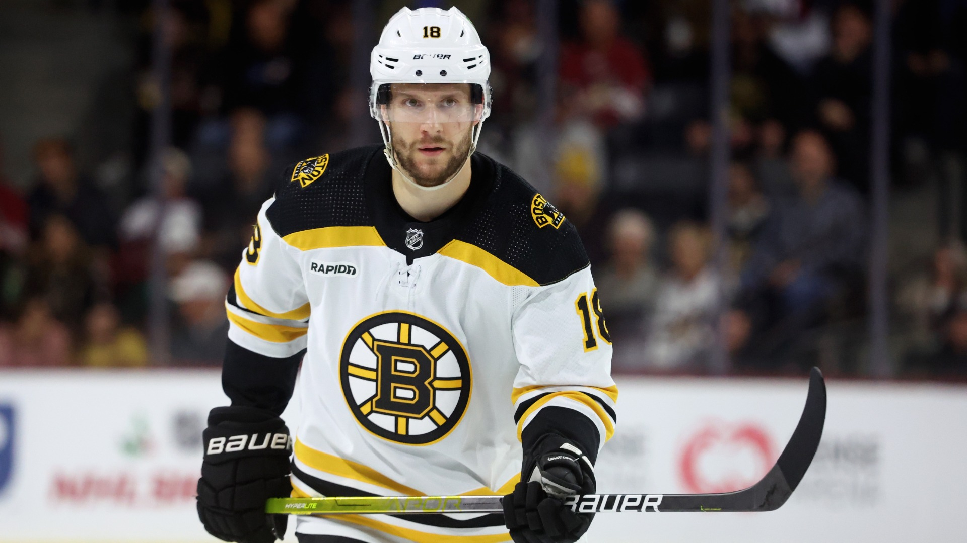 Boston Bruins forward Pavel Zacha