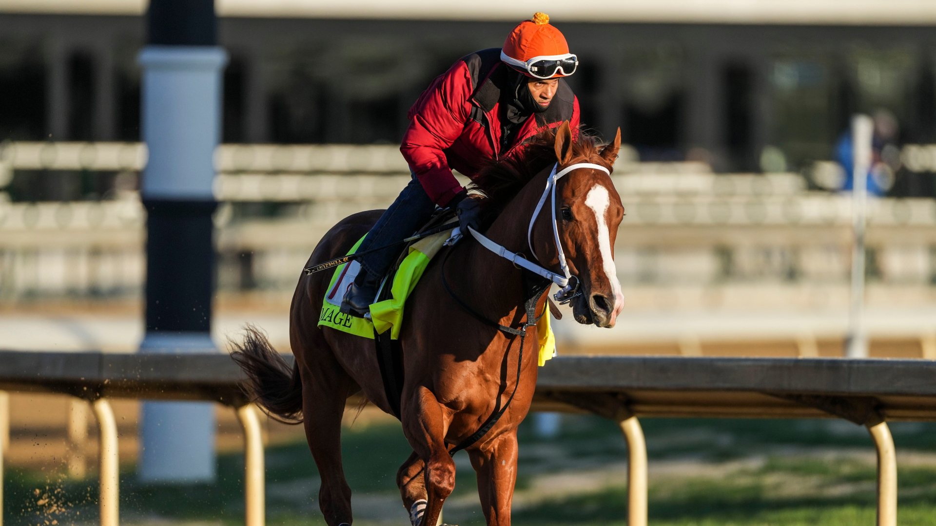 Kentucky Derby winner Mage
