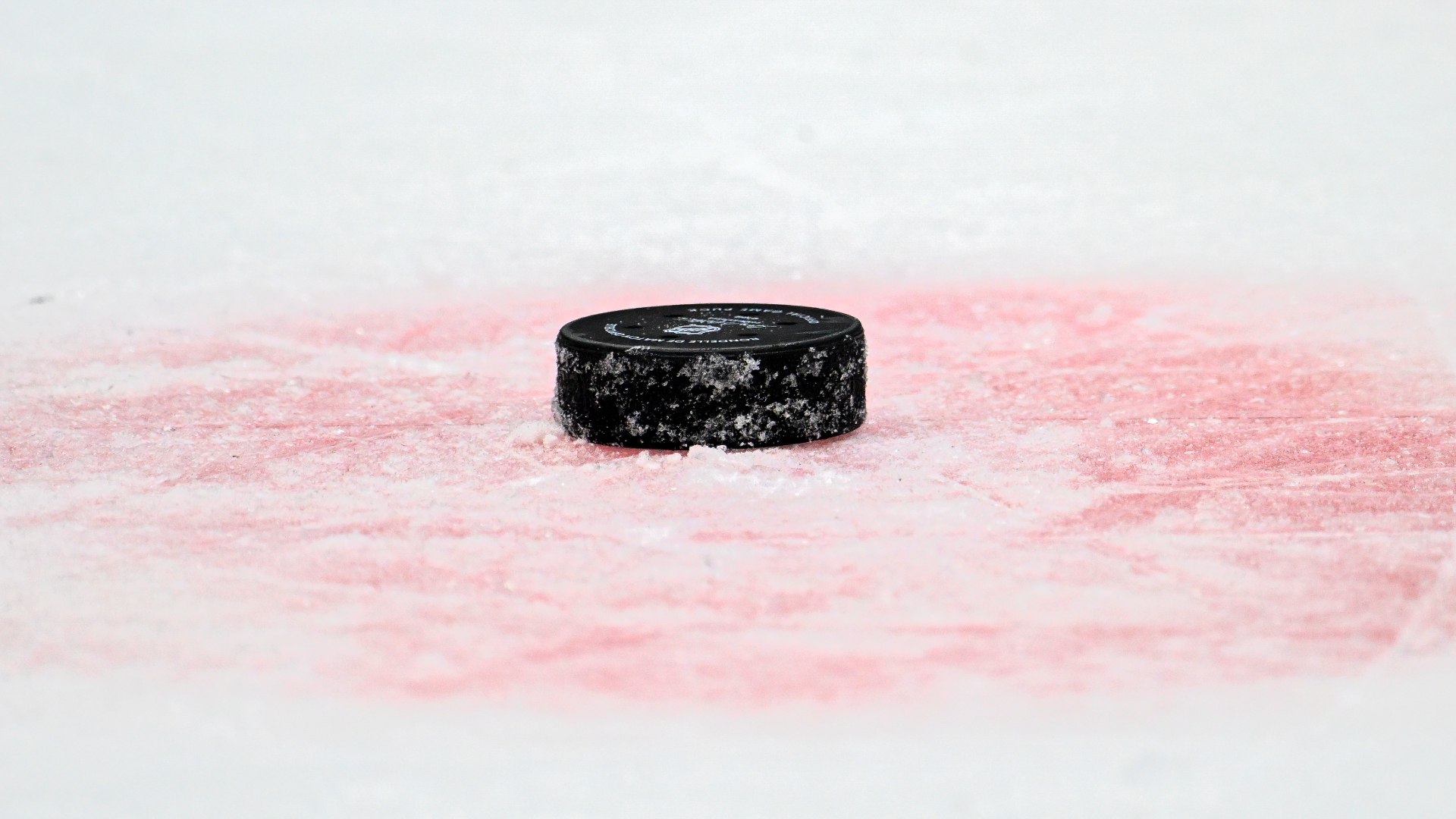 NHL puck