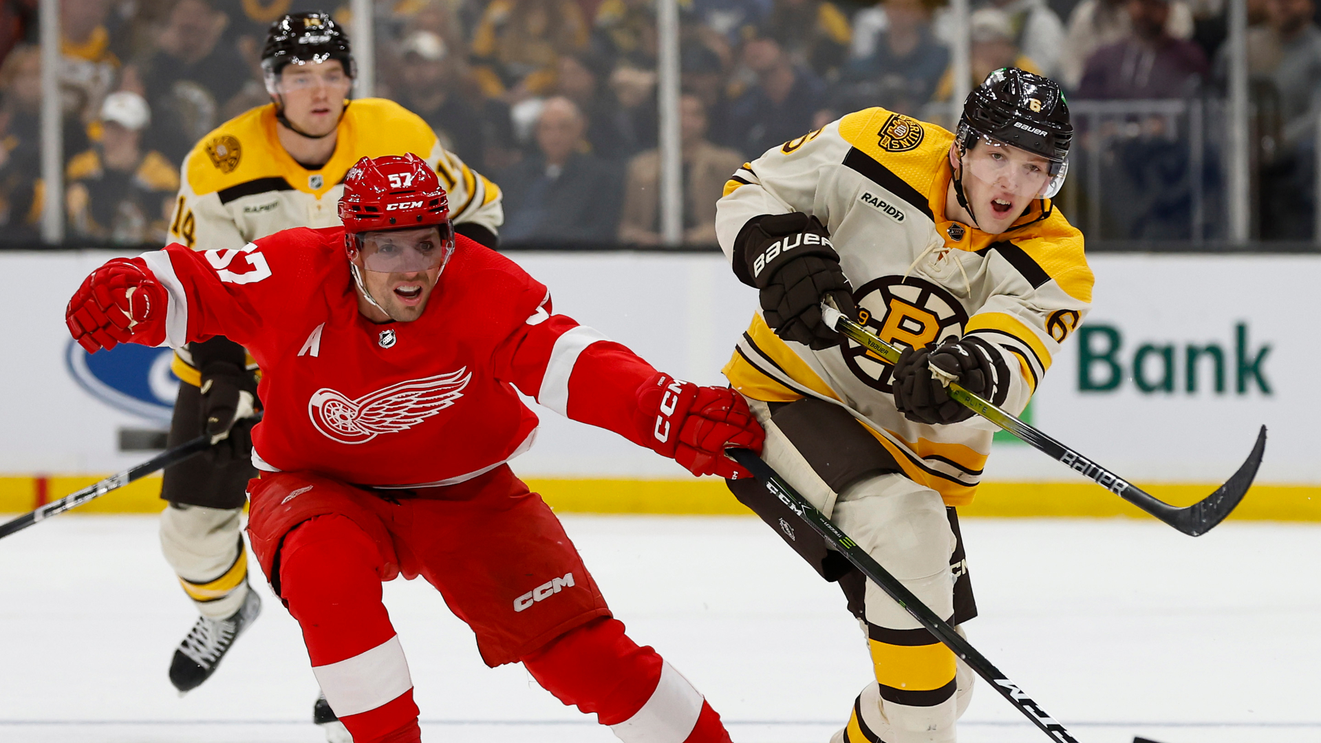 Boston Bruins defenseman Mason Lohrei