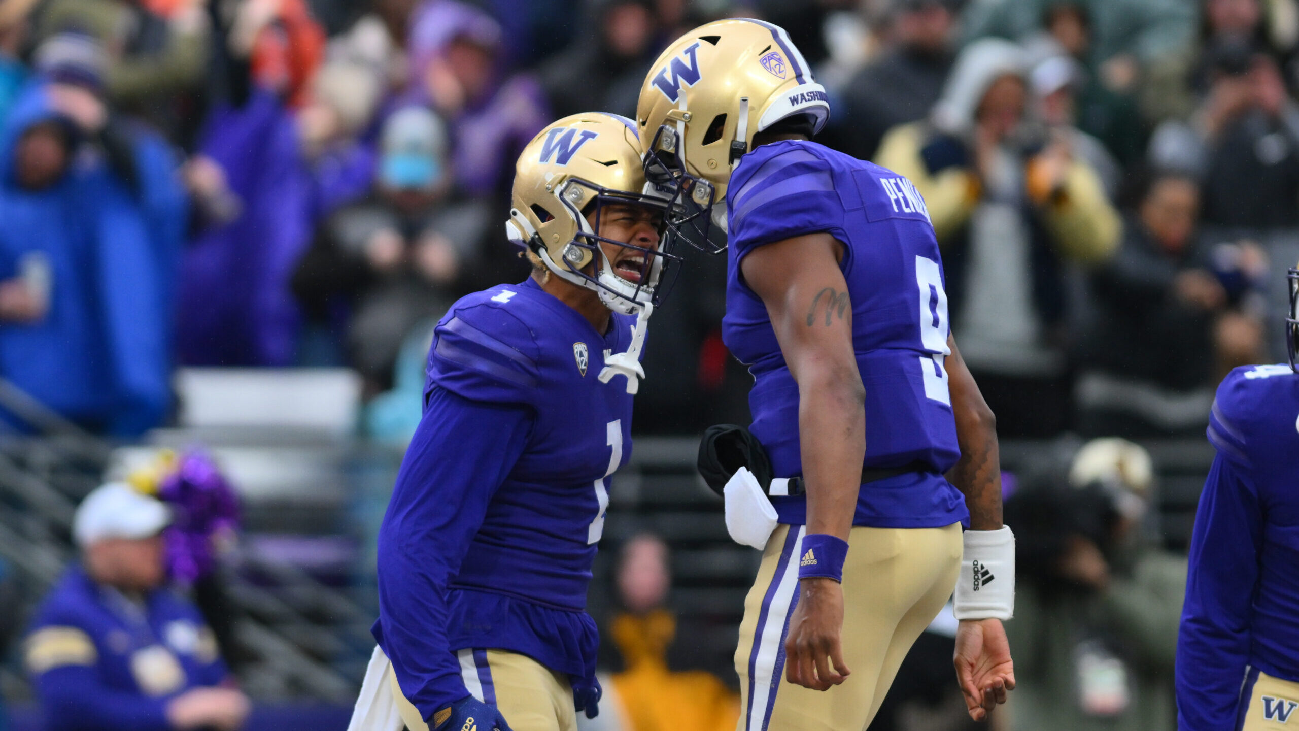 NCAA Football: Utah at Washington