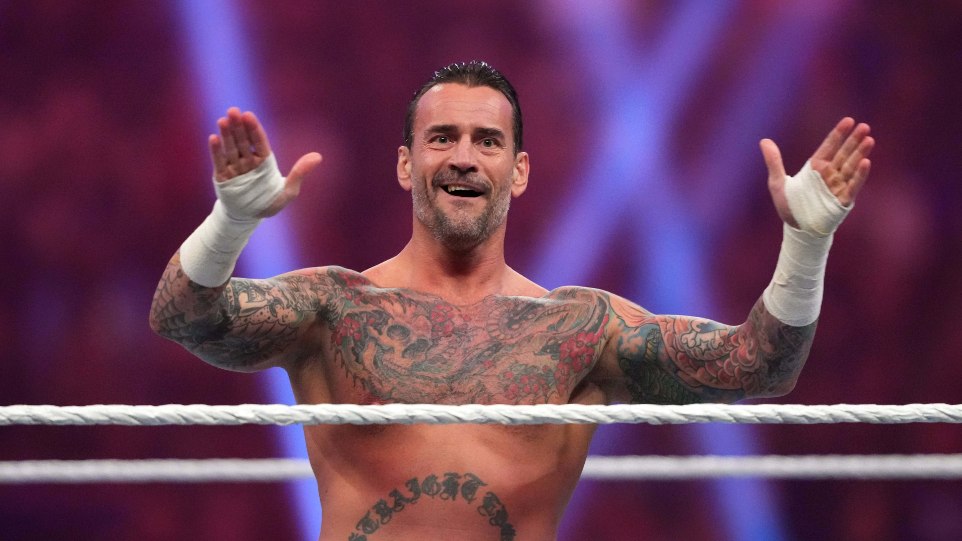 WWE superstar CM Punk