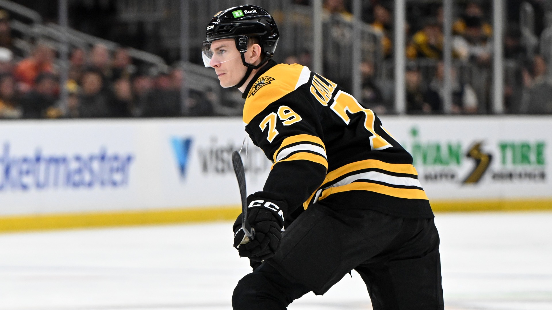 Boston Bruins defenseman Michael Callahan