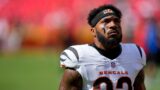 New England Patriots running back Trayveon Williams