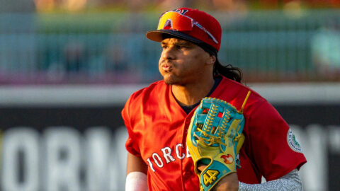 Boston Red Sox Outfielder Jhostynxon Garcia