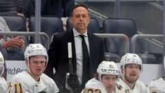 Boston Bruins head coach Marco Sturm