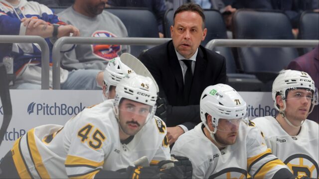 Boston Bruins head coach Marco Sturm