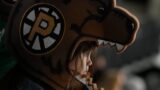 Providence Bruins